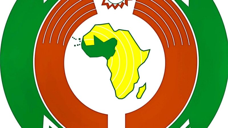 Lutte contre le terrorisme en Afrique de l’Ouest : la CEDEAO dénonce les fausses allégations de génocide et appelle à la solidarité internationale