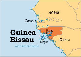 Guinée-Bissau : Vrai coup d’État militaire ou complot politique ?