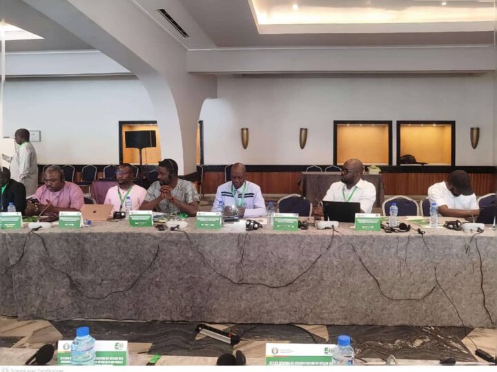 Énergies renouvelables en Afrique de l’Ouest : à Lomé, les journalistes au cœur de la révolution solaire.