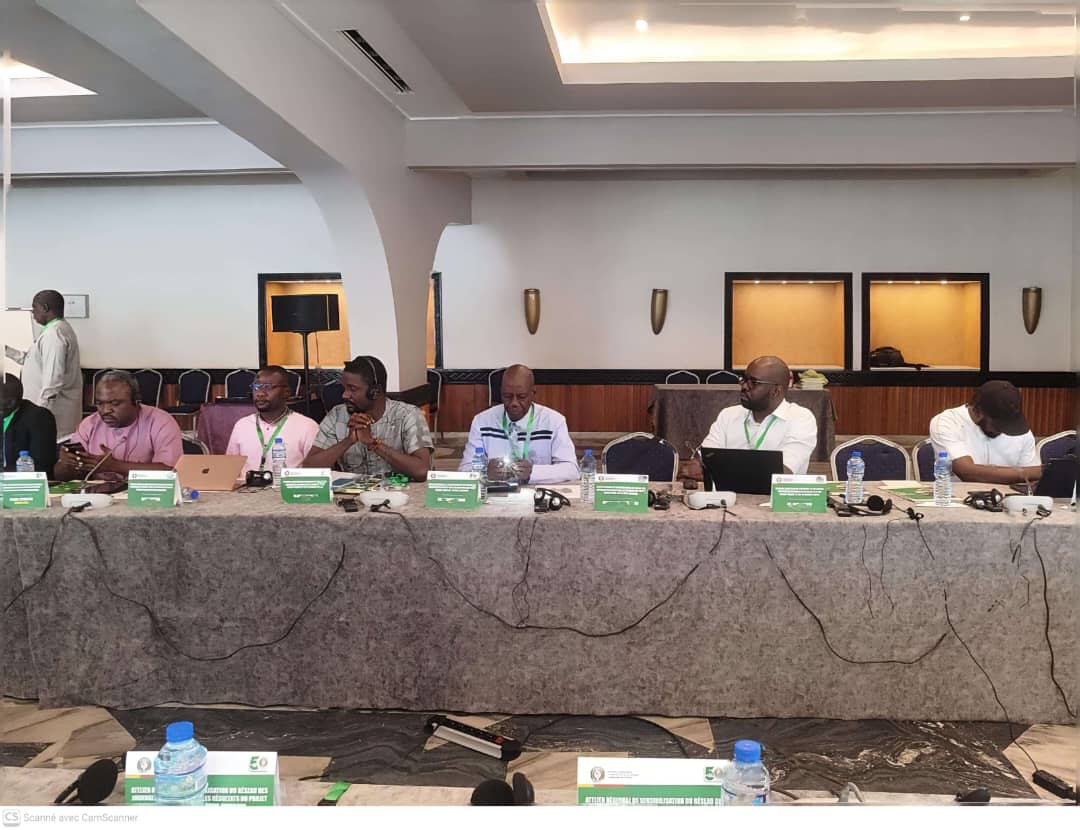 Énergies renouvelables en Afrique de l’Ouest : à Lomé, les journalistes au cœur de la révolution solaire.