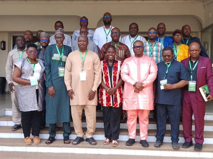 Énergie solaire en Afrique de l’Ouest : à Lomé, le réseau des journalistes ROGEAP se mobilise pour accélérer l’accès à l’électricité.