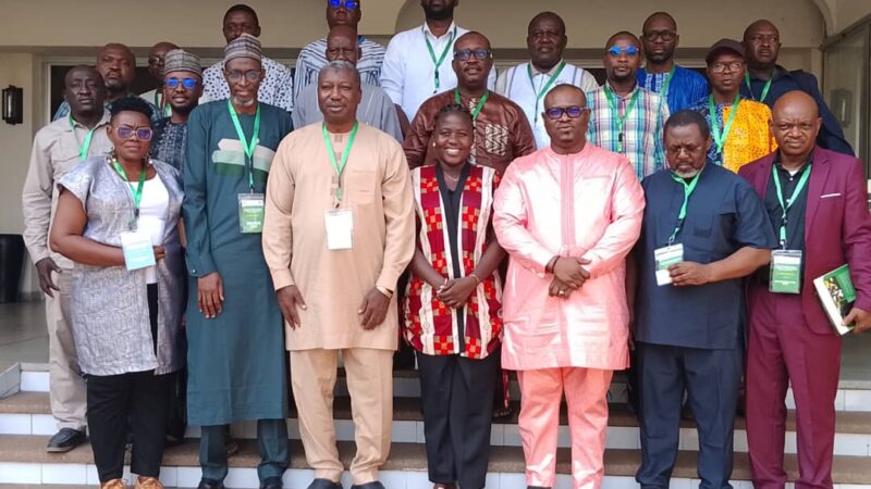 Énergie solaire en Afrique de l’Ouest : à Lomé, le réseau des journalistes ROGEAP se mobilise pour accélérer l’accès à l’électricité.