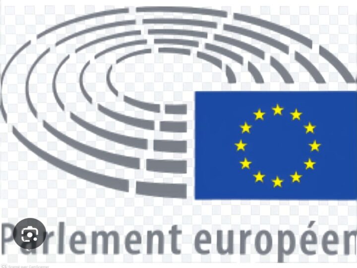 Niger : Bazoum, l’Europe et la bataille de la souveraineté.