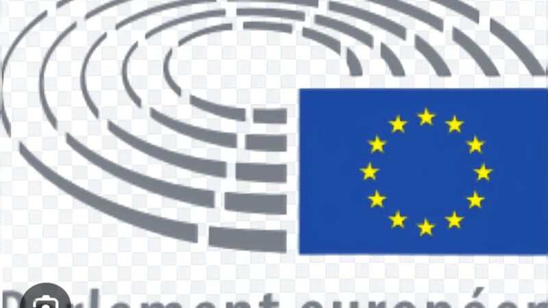 Niger : Bazoum, l’Europe et la bataille de la souveraineté.