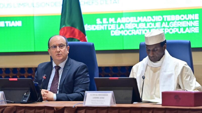 Algérie–Niger : un axe stratégique en pleine mutation pour sécuriser et développer le Sahel.