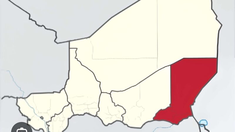 Enlèvements sur l’axe N’Guigmi–Daboua : alerte sécuritaire après une attaque meurtrière de Boko Haram.