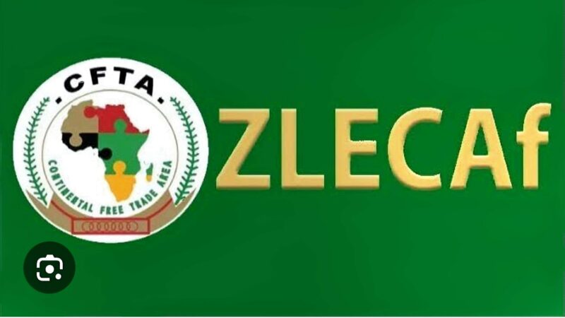 Atelier régional de Lomé : Transformer les promesses de la ZLECAf en réalité 