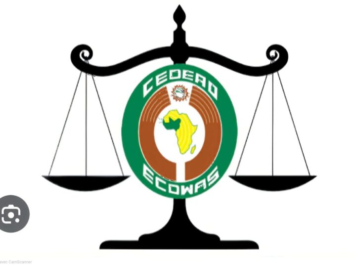 Togo : la Cour de justice de la CEDEAO qualifie la réforme constitutionnelle de  » changement inconstitutionnel de gouvernement »