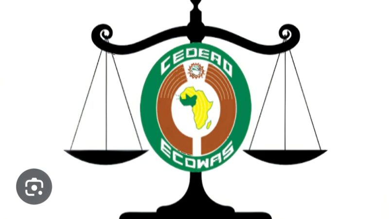 Togo : la Cour de justice de la CEDEAO qualifie la réforme constitutionnelle de  » changement inconstitutionnel de gouvernement »