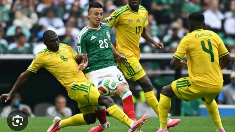Le match d&rsquo;ouverture de la Coupe du monde opposant le Mexique à l&rsquo;Afrique du Sud a tenu toutes ses promesses.