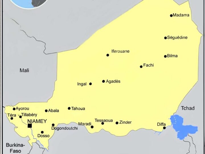 Niger : entre résilience économique et défi sécuritaire, un pays à la croisée des chemins.