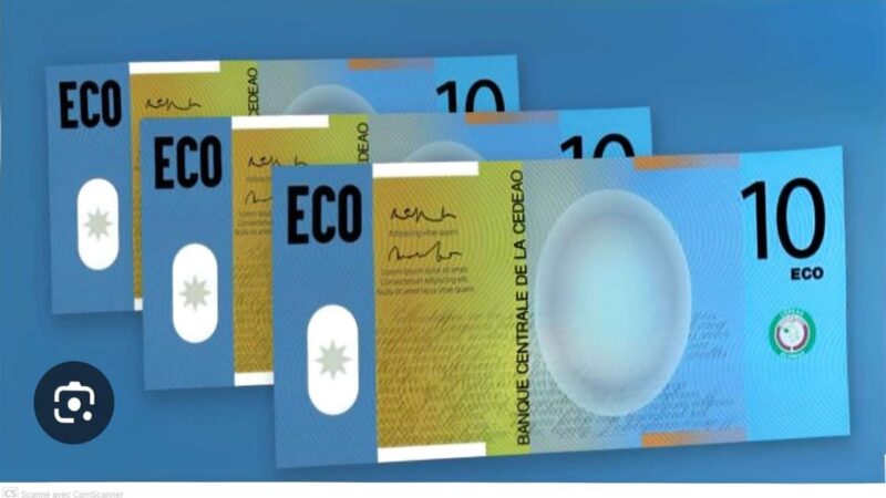 L’ECO sans l’AES ? La CEDEAO joue son va-tout, le Sahel face à un tournant historique.