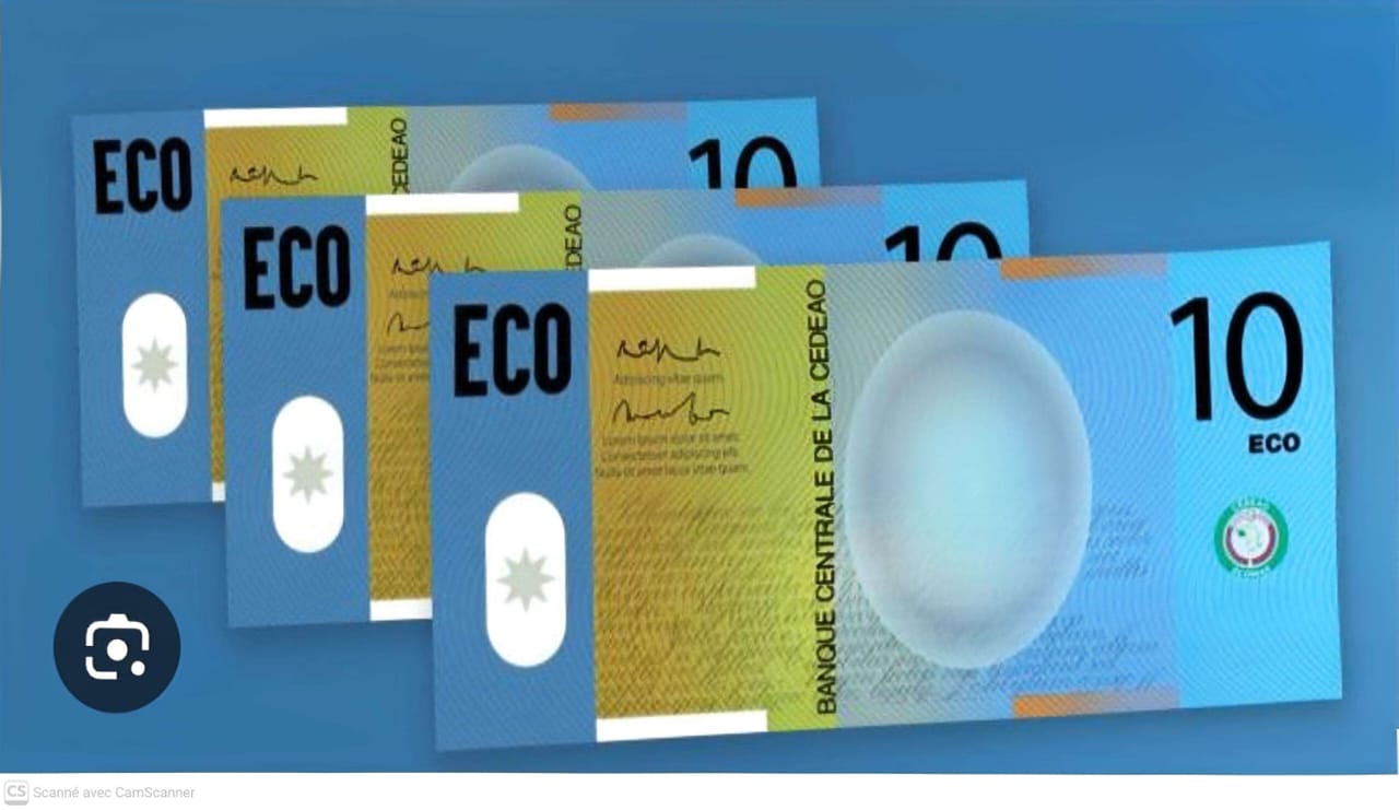 L’ECO sans l’AES ? La CEDEAO joue son va-tout, le Sahel face à un tournant historique.