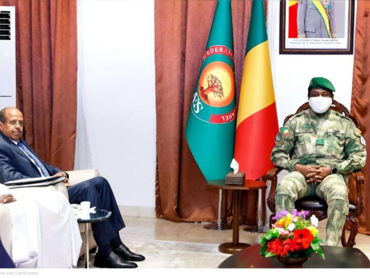 Union africaine – Mali : le grand retour du dialogue ? Bamako brise l&rsquo;isolement diplomatique et place l&rsquo;UA devant ses responsabilités.