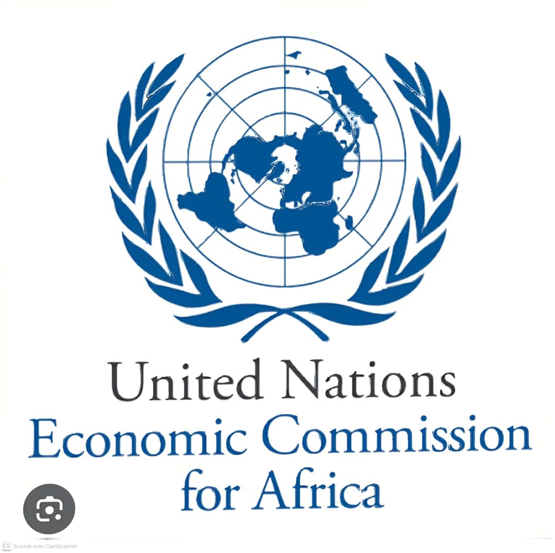 La CEA mobilise les entreprises ouest-africaines pour dynamiser la chaîne de valeur du riz et renforcer la résilience alimentaire régionale